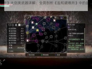 《盐和避难所》大剑类武器详解：全面剖析《盐和避难所》中的盐和剑实用属性评测