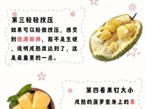 菠萝蜜老版本在线观看：为何找不到资源？怎样解决？