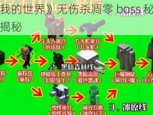 《我的世界》无伤杀凋零 boss 秘籍大揭秘