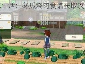 小森生活：冬瓜烧肉食谱获取攻略大放送