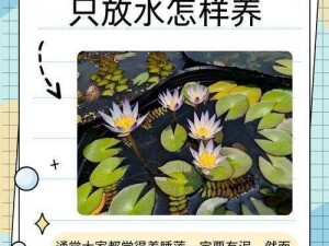 女性半夜莲花开放的治疗方法、女性半夜莲花开放是一种生理现象，不是疾病，不需要治疗