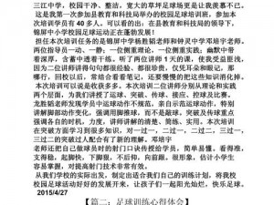 关于足球经理2012的深度解析与玩家心得体会