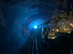 津渝视频完整版张_津渝视频完整版张：探索未知的神秘之旅