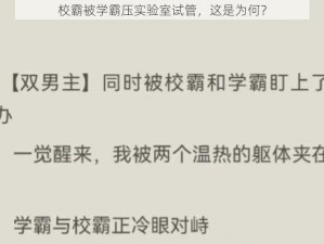 校霸被学霸压实验室试管，这是为何？