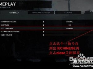 《古墓丽影 9》中文设置方法详解：让你轻松畅游游戏世界
