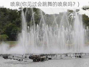 喷泉(你见过会跳舞的喷泉吗？)