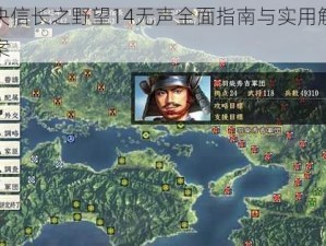 解决信长之野望14无声全面指南与实用解决方案