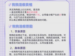 我家狗狗卡在里面痛怎么办？试试 XX 牌狗狗润滑剂，轻松解决困扰