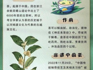 探寻悟道茶获取之道：在哪里可以找到这种神秘的茶叶？