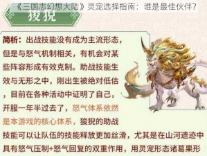 《三国志幻想大陆》灵宠选择指南：谁是最佳伙伴？