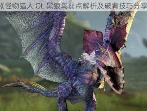 《怪物猎人 OL 黑狼鸟弱点解析及破背技巧分享》