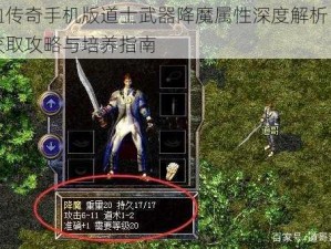 热血传奇手机版道士武器降魔属性深度解析：降魔获取攻略与培养指南