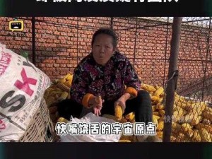 刘学坤为什么能火遍全网？