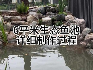 打造世界级鱼塘：从选址规划到细节完善的全流程制作方法解析