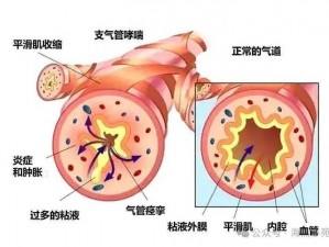 半夜听到爸妈喘气是怎么回事？正常吗？如何应对？