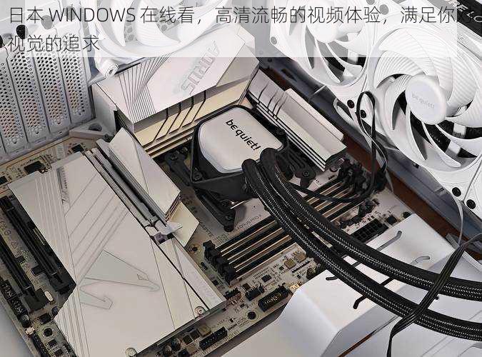 日本 WINDOWS 在线看,高清流畅的视频体验,满足你对视觉的追求