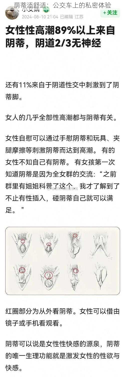 荫蒂添舒适:公交车上的私密体验