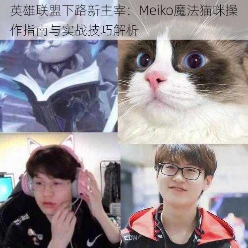 英雄联盟下路新主宰：Meiko魔法猫咪操作指南与实战技巧解析