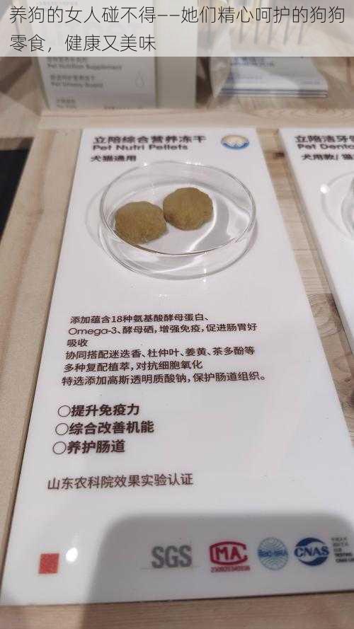 养狗的女人碰不得——她们精心呵护的狗狗零食，健康又美味