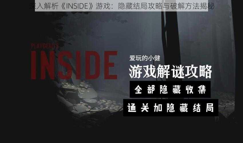 深入解析《INSIDE》游戏：隐藏结局攻略与破解方法揭秘