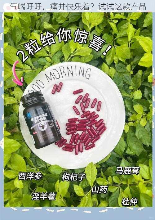 气喘吁吁，痛并快乐着？试试这款产品