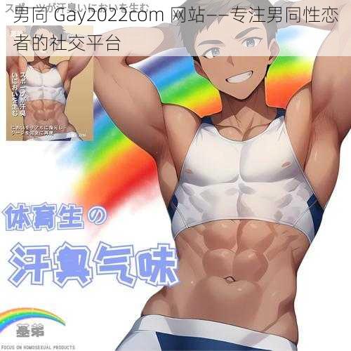 男同 Gay2022com 网站——专注男同性恋者的社交平台