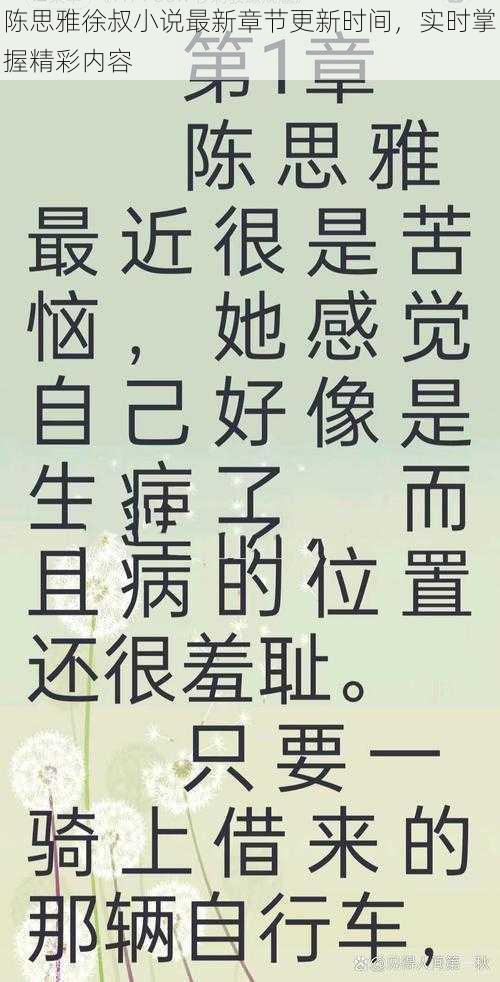 陈思雅徐叔小说最新章节更新时间，实时掌握精彩内容