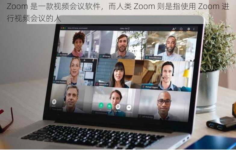 Zoom 是一款视频会议软件，而人类 Zoom 则是指使用 Zoom 进行视频会议的人