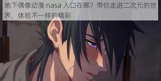 地下偶像动漫 nasa 入口在哪？带你走进二次元的世界，体验不一样的精彩