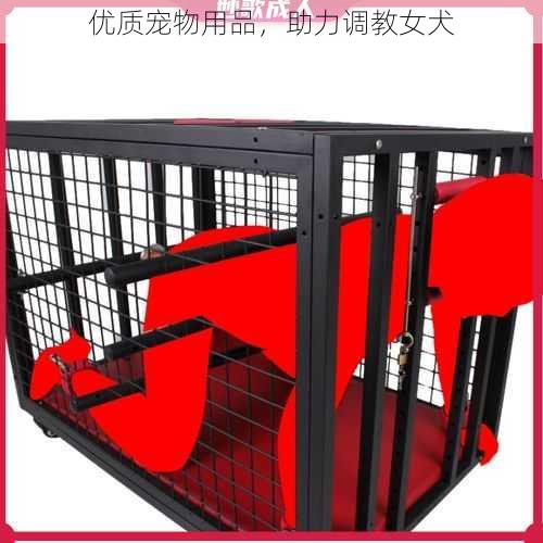 优质宠物用品，助力调教女犬