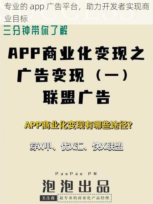 专业的 app 广告平台，助力开发者实现商业目标