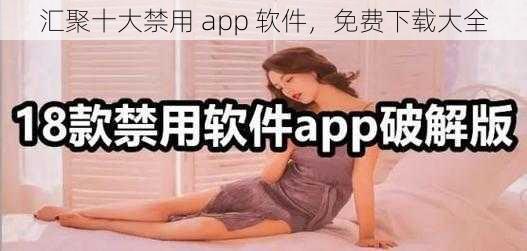 汇聚十大禁用 app 软件，免费下载大全