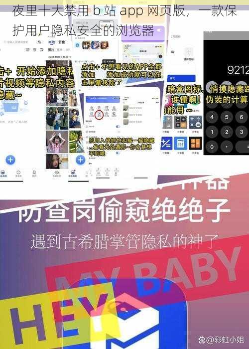 夜里十大禁用 b 站 app 网页版，一款保护用户隐私安全的浏览器