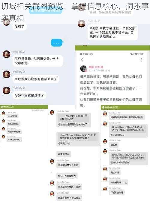 切域相关截图预览：掌握信息核心，洞悉事实真相