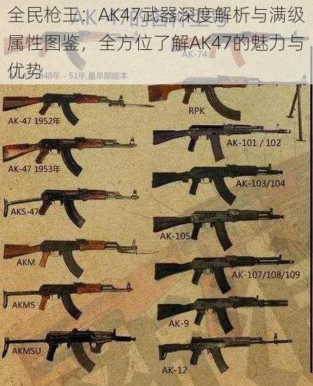 全民枪王：AK47武器深度解析与满级属性图鉴，全方位了解AK47的魅力与优势