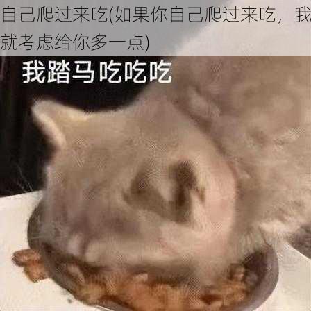 自己爬过来吃(如果你自己爬过来吃，我就考虑给你多一点)