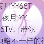 夜月YY66TV,夜月 YY66TV：带你领略不一样的视觉盛宴