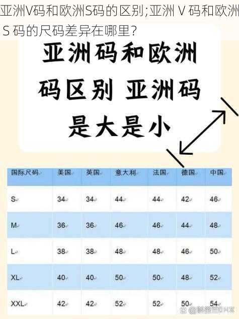 亚洲V码和欧洲S码的区别;亚洲 V 码和欧洲 S 码的尺码差异在哪里？