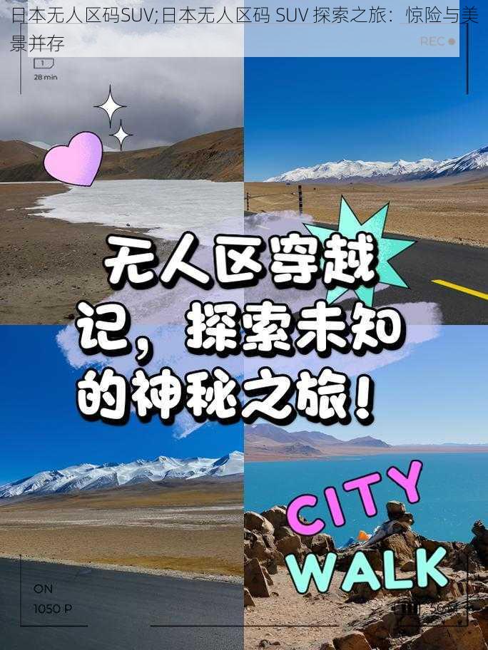 日本无人区码SUV;日本无人区码 SUV 探索之旅：惊险与美景并存