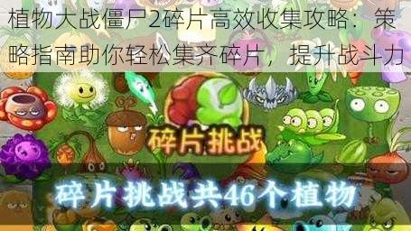 植物大战僵尸2碎片高效收集攻略：策略指南助你轻松集齐碎片，提升战斗力