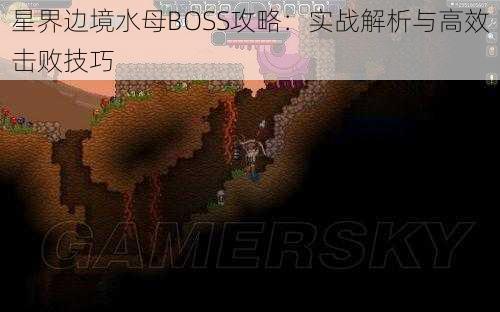 星界边境水母BOSS攻略：实战解析与高效击败技巧