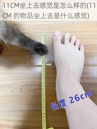 11CM坐上去感觉是怎么样的(11CM 的物品坐上去是什么感觉)