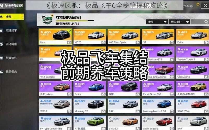 《极速风驰：极品飞车6全秘籍揭秘攻略》