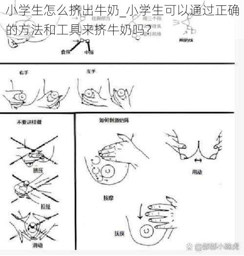 小学生怎么挤出牛奶_小学生可以通过正确的方法和工具来挤牛奶吗？