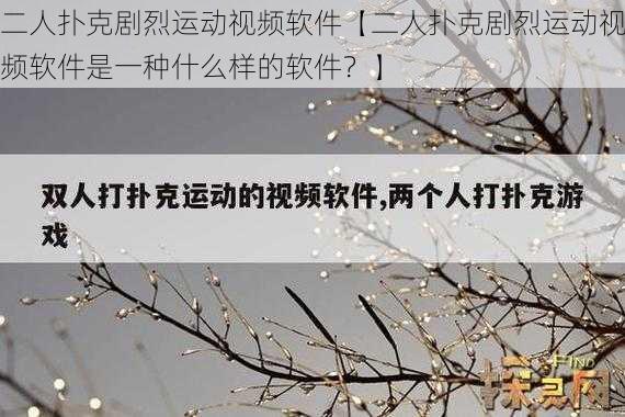 二人扑克剧烈运动视频软件【二人扑克剧烈运动视频软件是一种什么样的软件？】