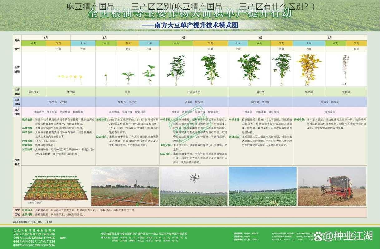 麻豆精产国品一二三产区区别(麻豆精产国品一二三产区有什么区别？)