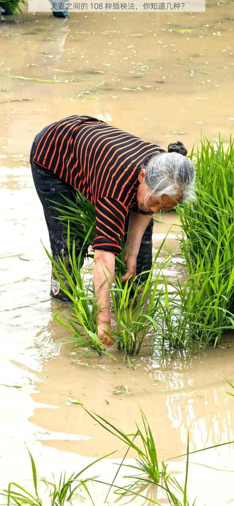 夫妻之间的 108 种插秧法，你知道几种？