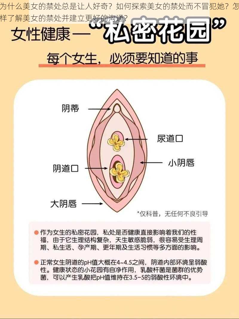 为什么美女的禁处总是让人好奇？如何探索美女的禁处而不冒犯她？怎样了解美女的禁处并建立更好的沟通？