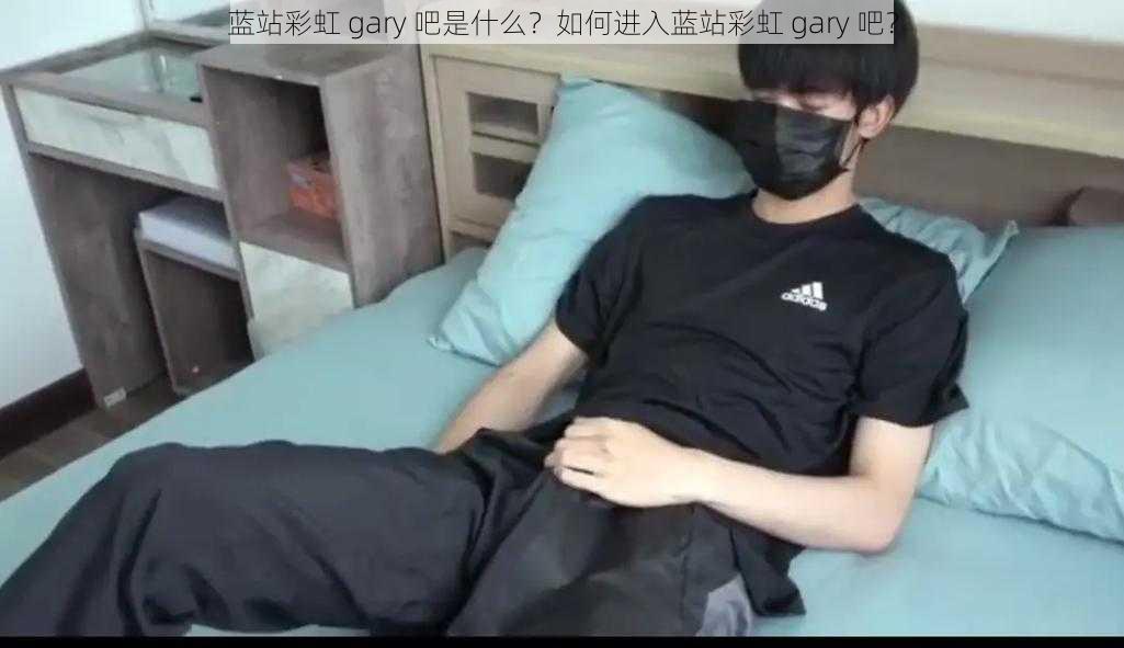 蓝站彩虹 gary 吧是什么？如何进入蓝站彩虹 gary 吧？