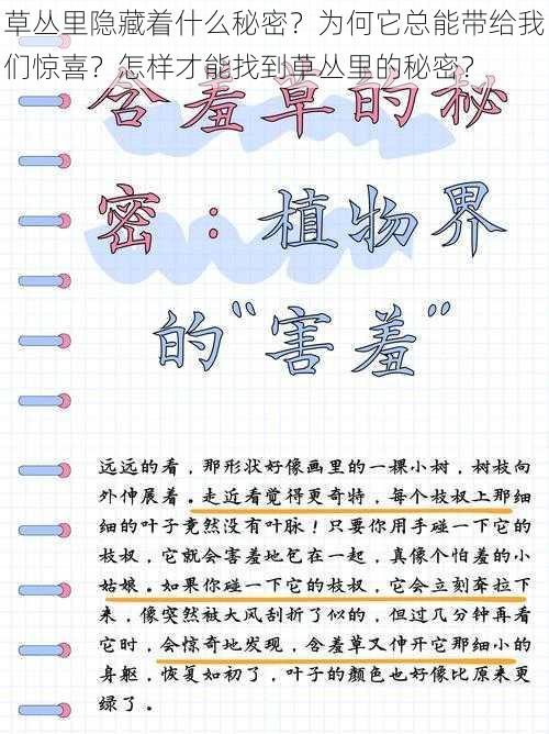 草丛里隐藏着什么秘密？为何它总能带给我们惊喜？怎样才能找到草丛里的秘密？